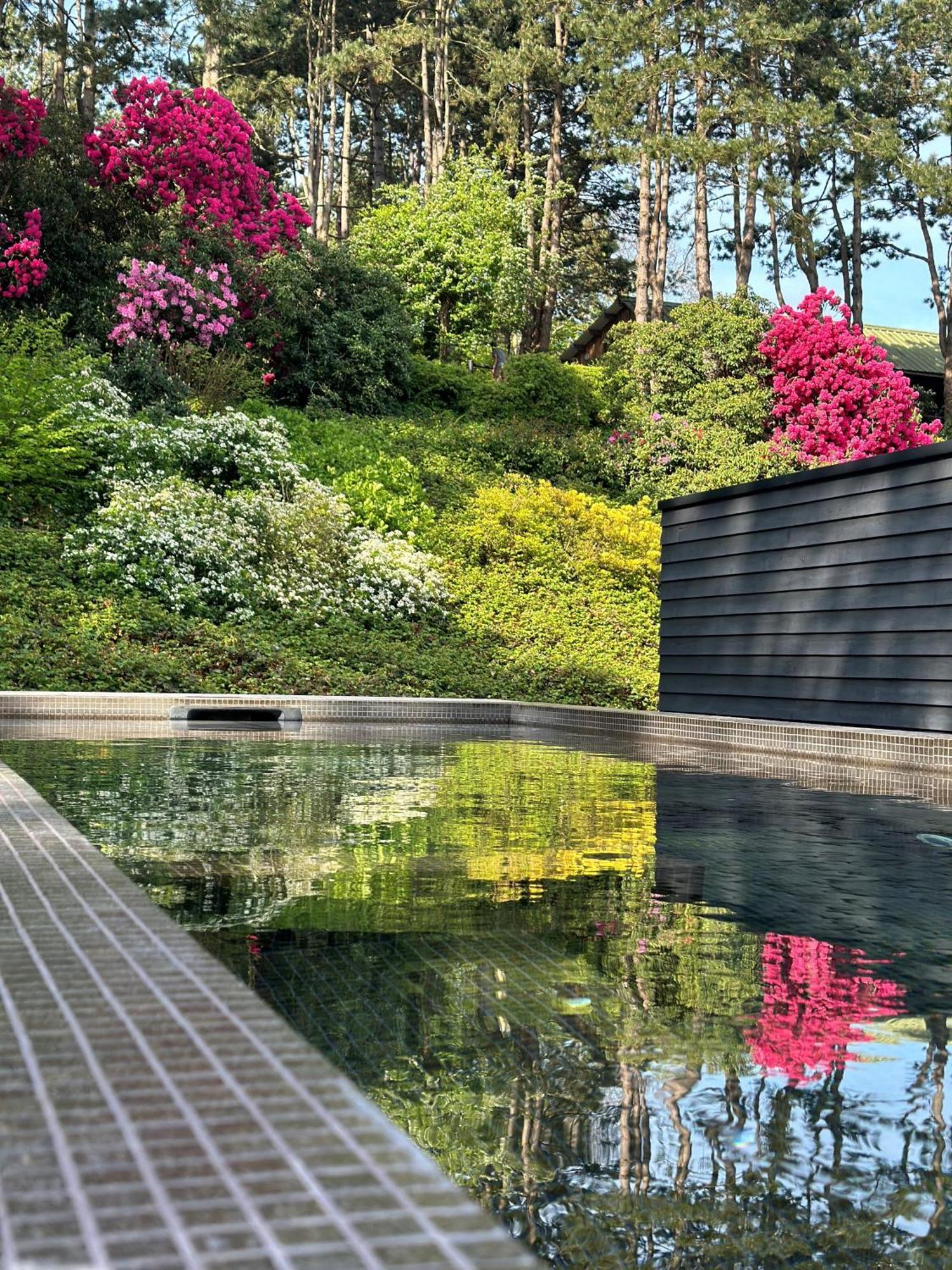Hotel Les Pins De Cesar - La Campagne D'etretat